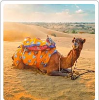 Desert, Rajasthan
