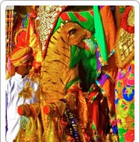 Elephant Festival Jaipur