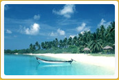 Colourful Rajasthan Golden Beaches Goa 