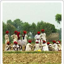 Languages of Rajasthan