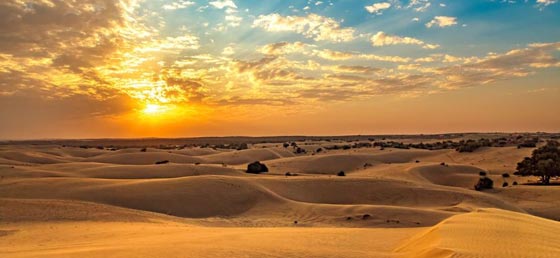 har Desert Jaisalmer