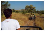 Ranthambore National Park