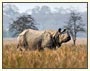 Assam Valley Tour