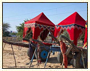 Colourful Heritage Tour of Rajasthan